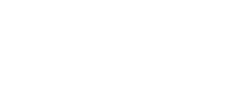 Vitalisse Teeth Whitening Logo